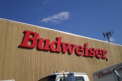 Channel Letters for Budweiser in NJ